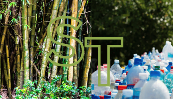 Bamboo Vs Plastic