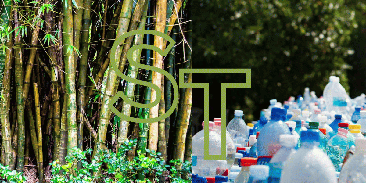 Bamboo Vs Plastic